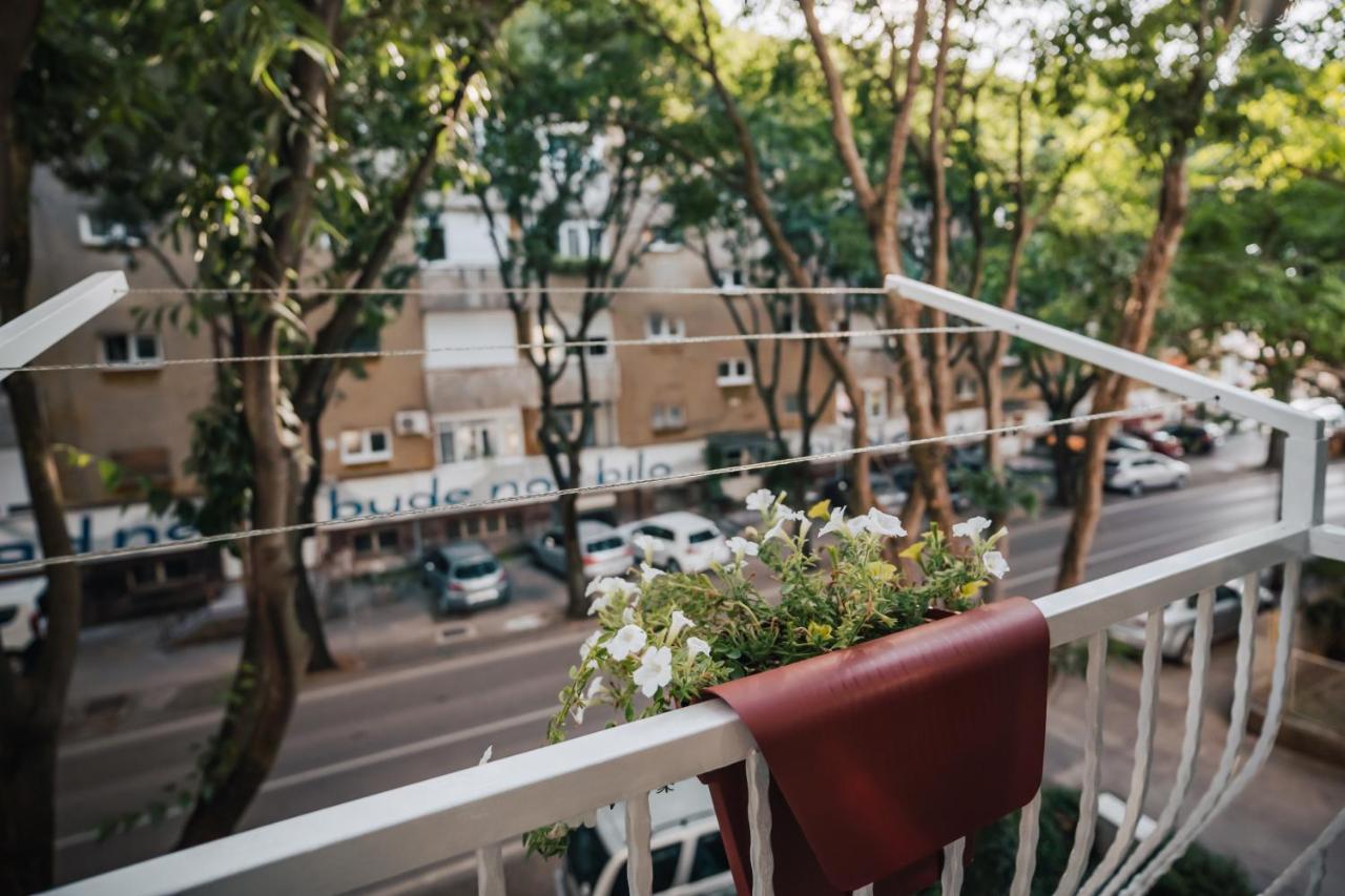 Apartment Island Spirit *